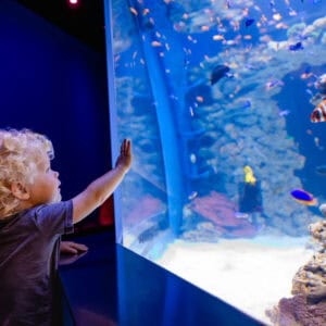 Birch Aquarium At Scripps | Photo: Jordann Tomasek