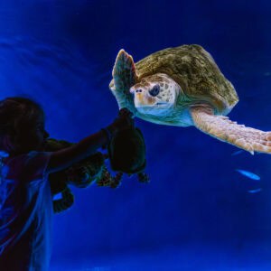 Birch Aquarium At Scripps | Photo: Jordann Tomasek
