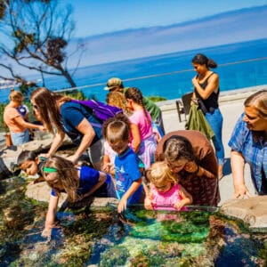 Birch Aquarium At Scripps Institution Of Oceanography | Aquarium Ucsd Edu