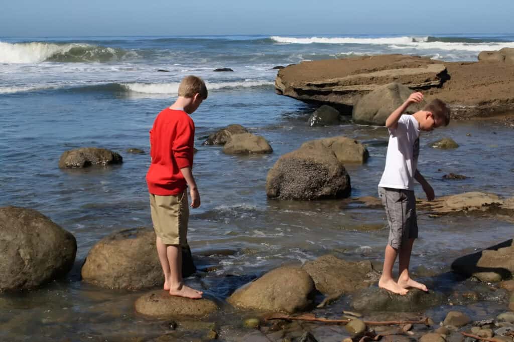 Cabrillo Tide Pool Fun for the Kids