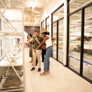 Amazement In The Basement