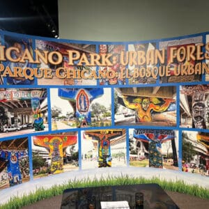 Chicano Park Urban Forrest