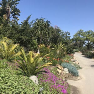 SD Botanic Garden Trail