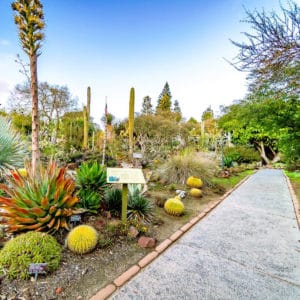 San Diego Botanic Garden Encinitas 1