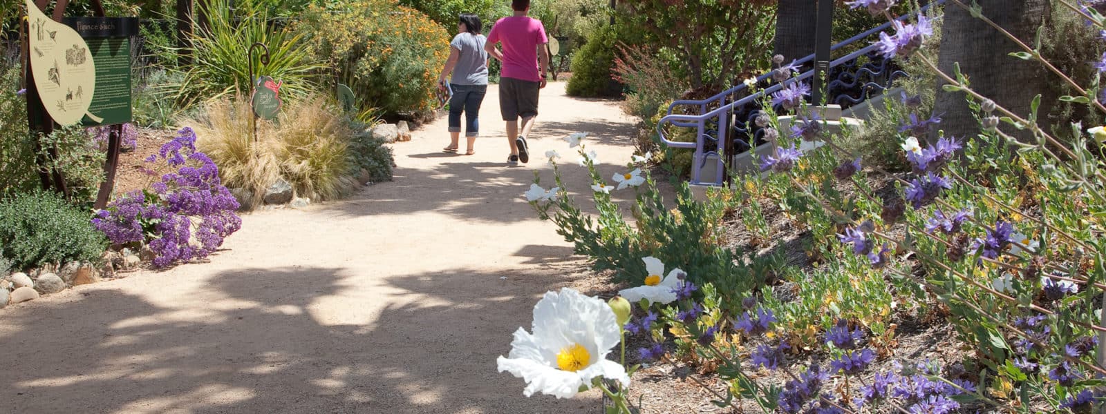 the garden consists of six acres of lush drought tolerant landscaping with more than 15 exhibits and over 600 species of plants adapted to the southern - Water Conservation Garden the garden consists of six acres of lush drought tolerant landscaping with more than 15 exhibits and over 600 species of plants adapted to the southern - Water Conservation Garden
