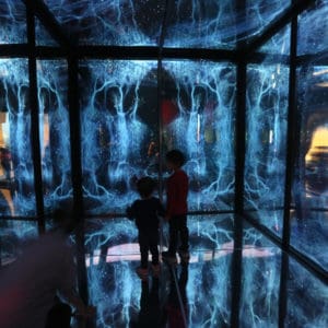 Birch Aquarium Exhibit