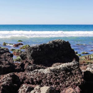 Tidepool WEB