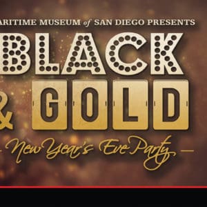 SDMC 1600×600 NYE