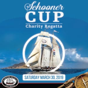 Schooner Digital Ads SDMC 550×550