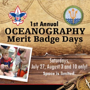 Merit Badge SDMC 550×550