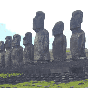 Polynesian Contact SDMC