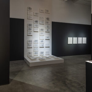 ICA NORTH; WALTER; PLEXUS; 2024