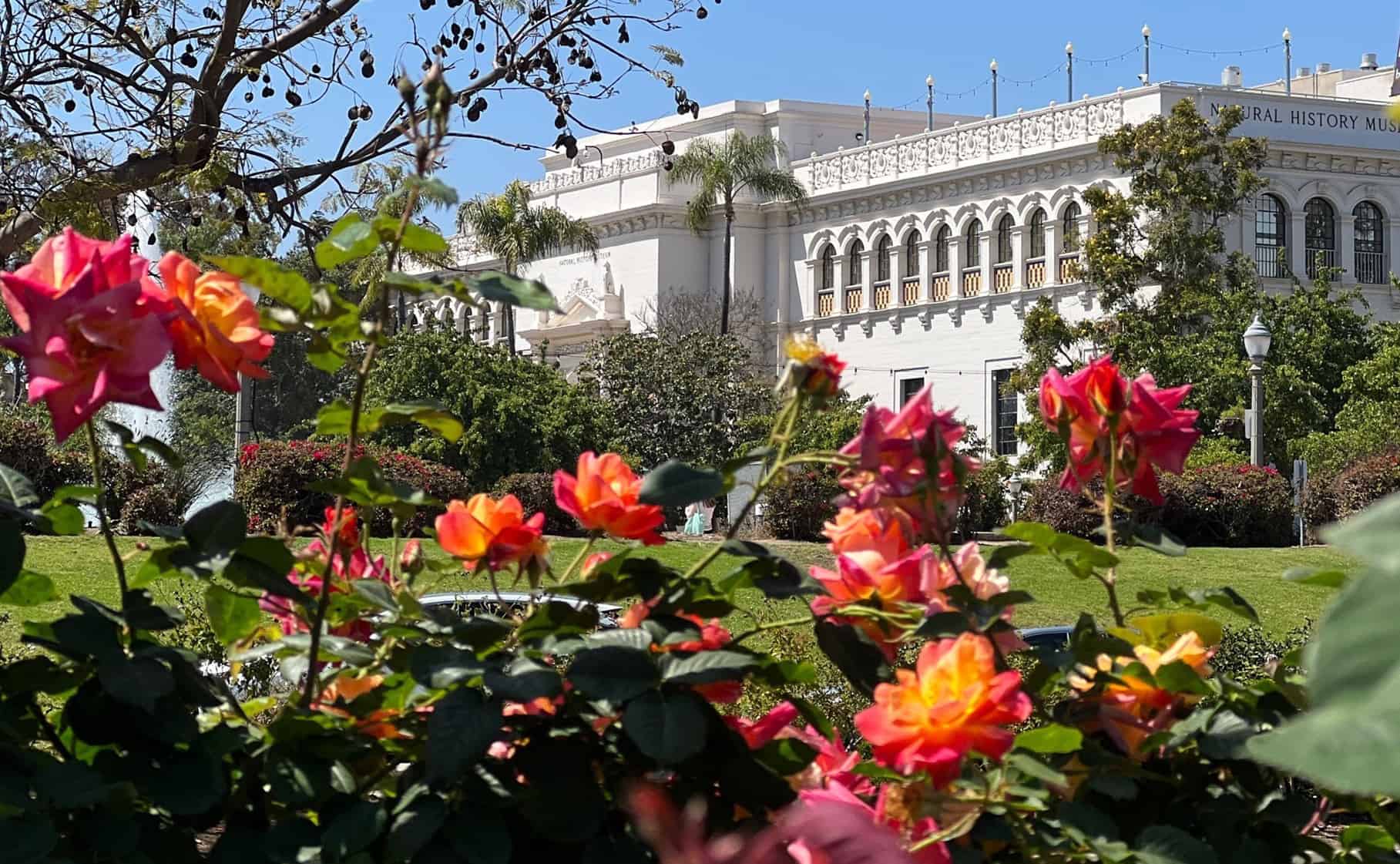 San Diego Potters' Guild Spring Patio Show - Balboa Park