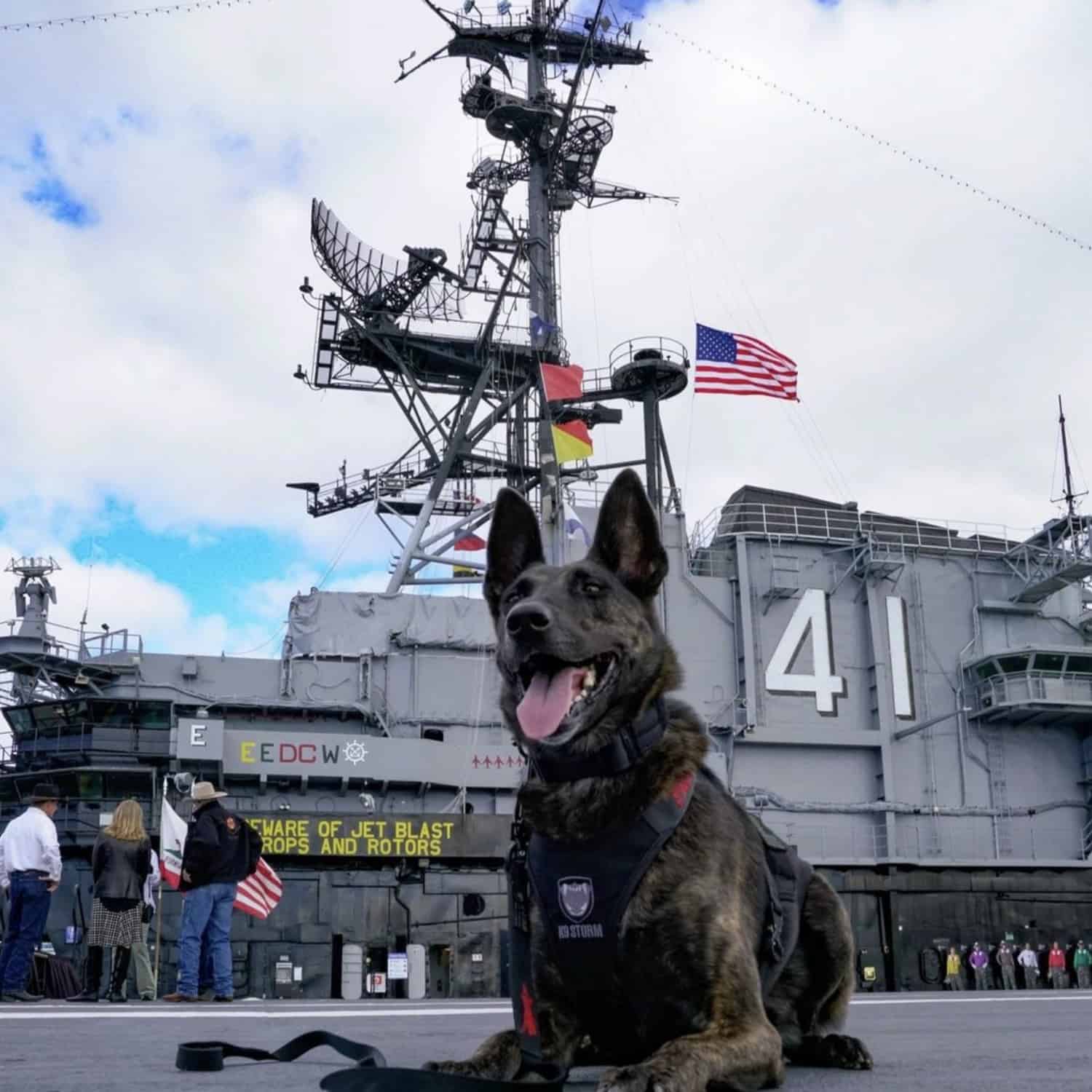 Free and Discount Museum Admission for Veterans and ActiveDuty Military San Diego Museum Council