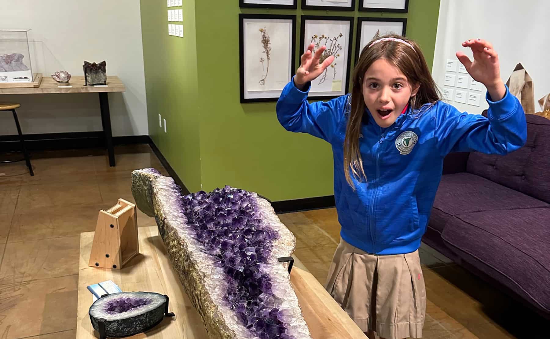 Museum Fun with Gemstones, Dinosaur Fossils, Murals and More at The NAT