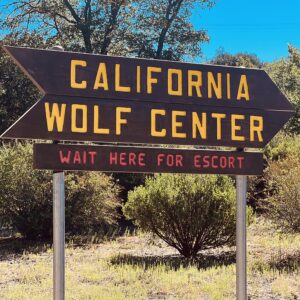 CALIFORNIA WOLF CENTER SQ