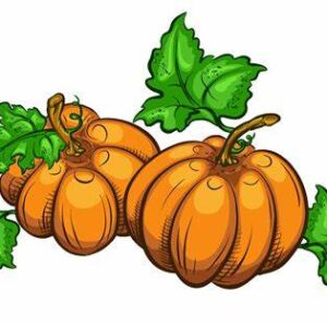 Pumpkins