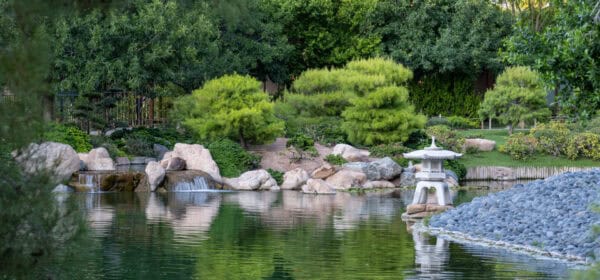 Beautiful Shot From The Japanese Friendship Garden