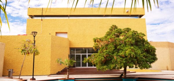 336491 Anthropology And History Museum Of Baja California Sur Banner