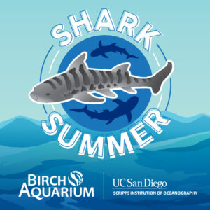 SharkSummer2025 1200×800 CalendarListings