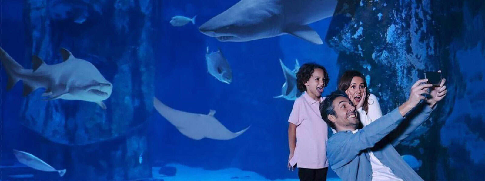 LEGOLand Sea Life Banner