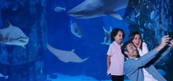 LEGOLand Sea Life Banner