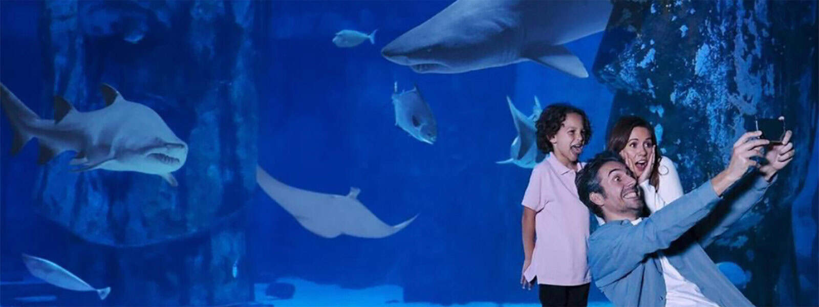 LEGOLand Sea Life Banner
