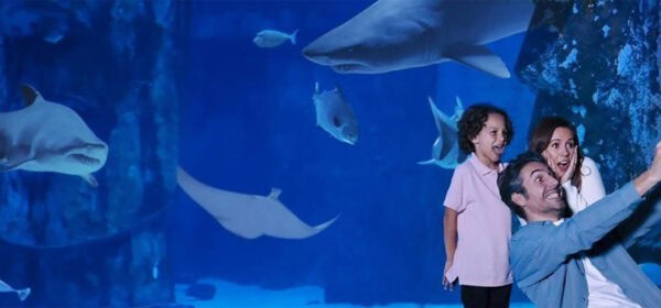 LEGOLand Sea Life Banner