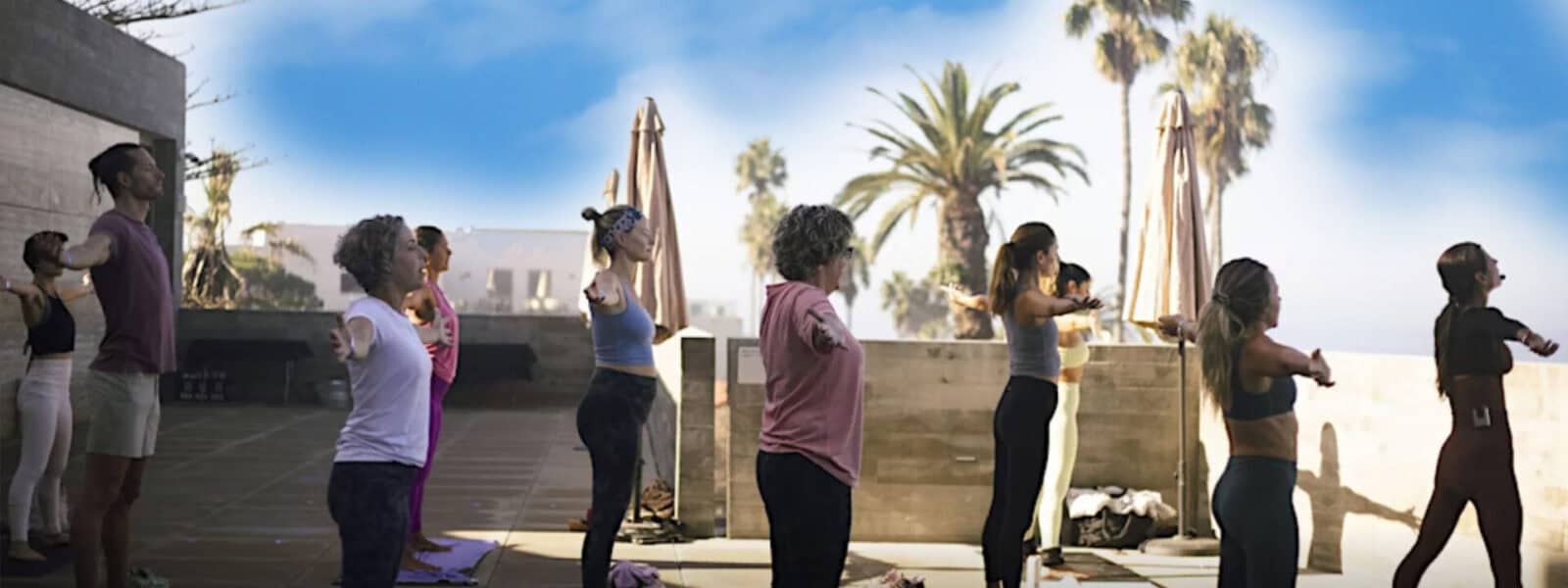 Wellness Banner