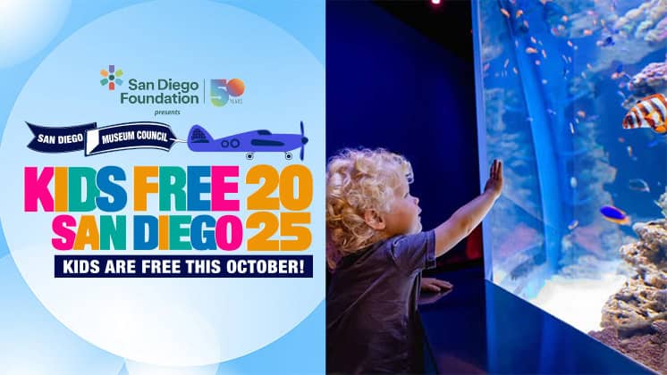 Kids Free Front Banner