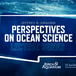 LectureSeries 1200×800 Copy