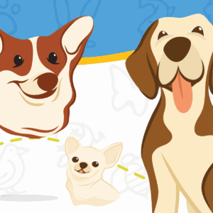 CMoD FAF Dec 2025 Calendar Image No Text