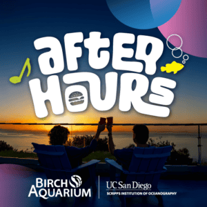 BAS AfterHours 250×250 CalendarListings