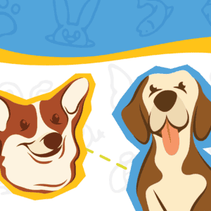 CMoD FAF Mar 2026 Calendar Image No Text