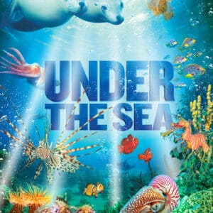 Under The Sea 1
