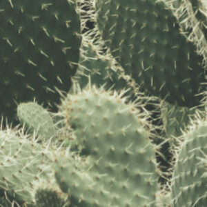 Stories In The Landscape Banner Edit