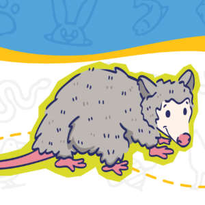 CMoD FAF May 2026 Calendar Image No Text