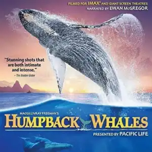 Imax Humpback Whales 4K Ultra HD Shout Factory Special Interests Da417e6f 139e 4902 A49e 2e537064bf59 C475e977be96cec7fed798c5c75d5706