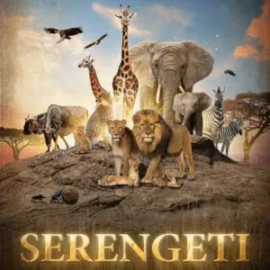 Ser Film