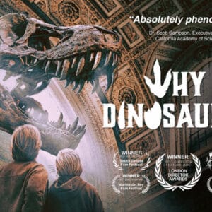 Why Dinos Nat Talk