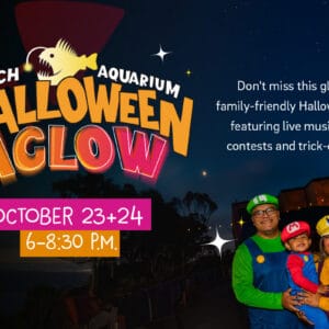 Bas Halloweenaglow2026Calendarlisting 1200X800