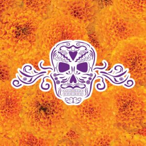 Betsabee Romero Diadelosmuertossdma 02 Web Resize