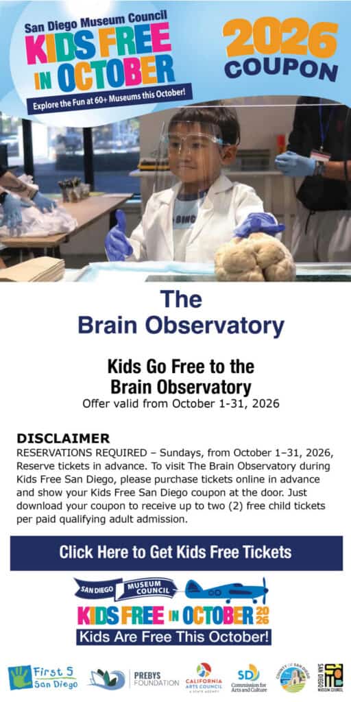 Brain Obeservatory English Kids Free 2026 Coupon (1)