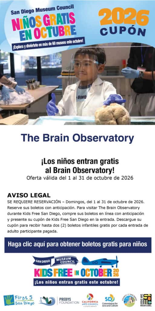 Brain Obeservatory Spanish Kids Free 2026 Coupon (1)