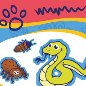 Faf 2026 Calendar Image No Text